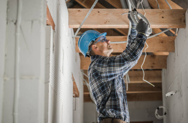 Best Electrical System Inspection  in Eustis, FL