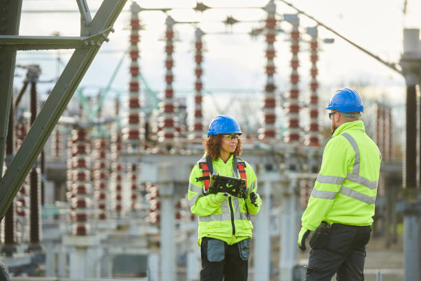 Best Electric Panel Repair  in Eustis, FL